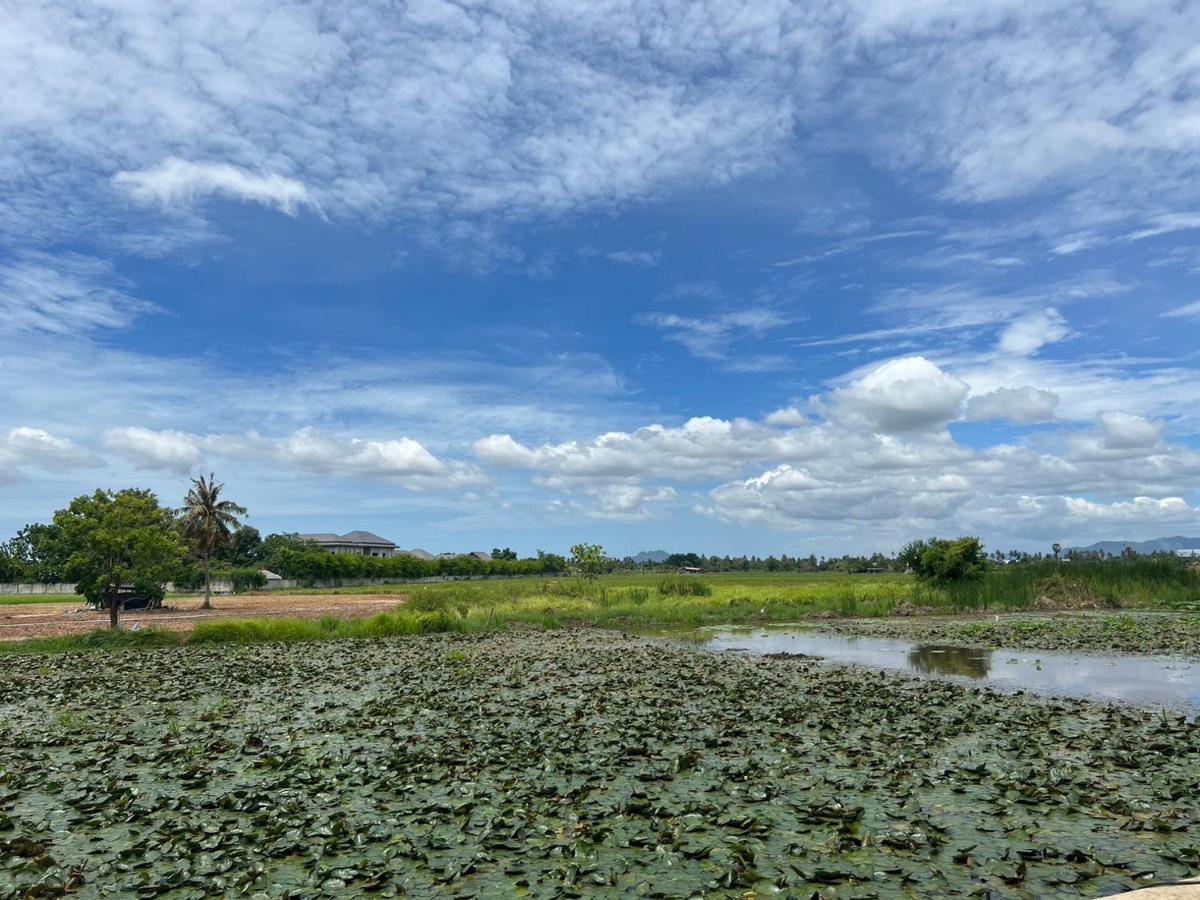On Green Resort Ban Huai Sua Екстер'єр фото