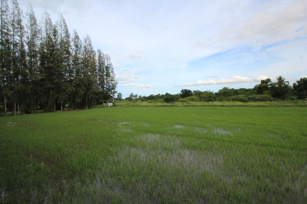 On Green Resort Ban Huai Sua Екстер'єр фото