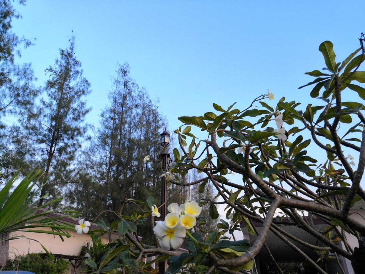On Green Resort Ban Huai Sua Екстер'єр фото