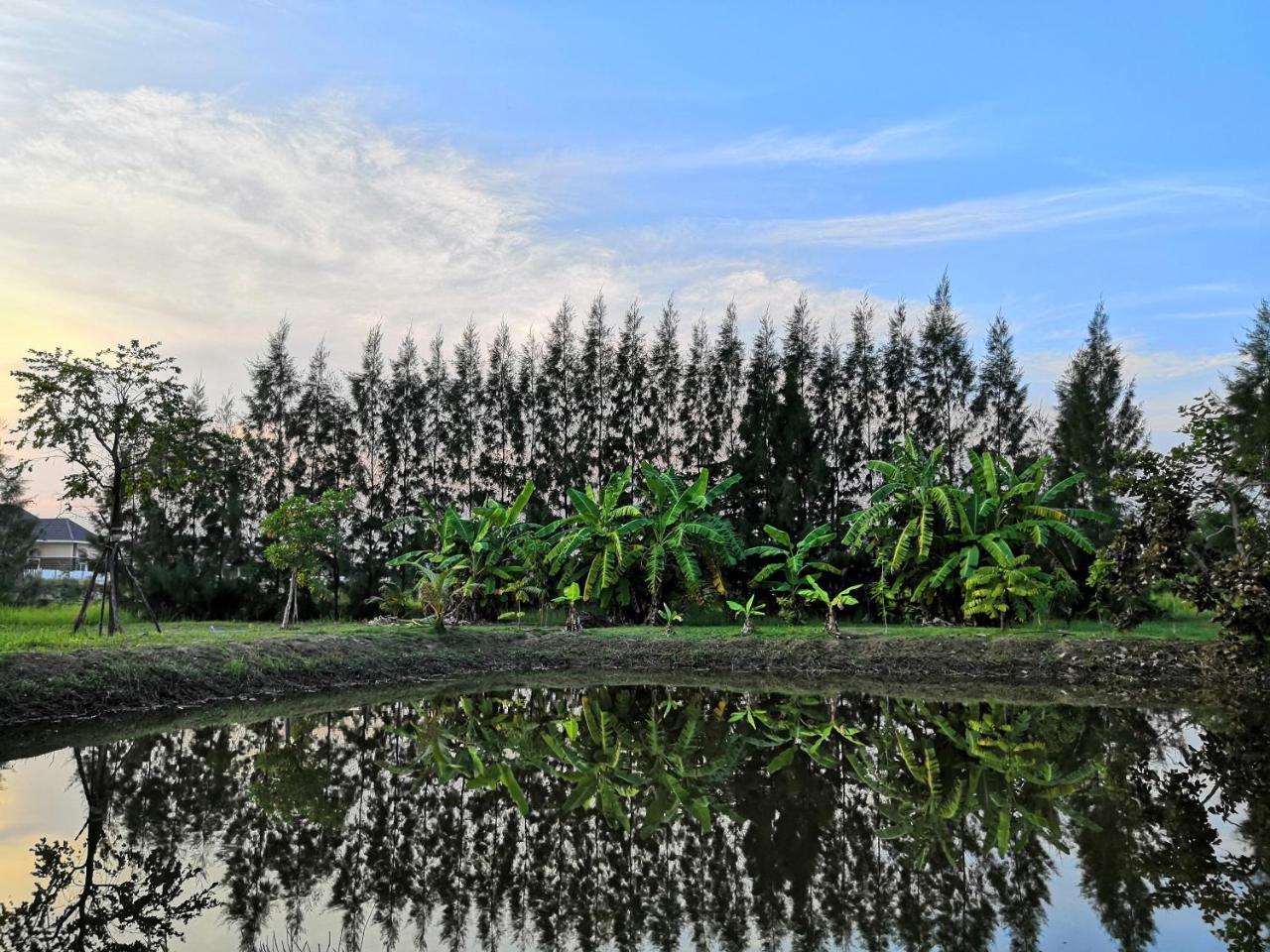 On Green Resort Ban Huai Sua Екстер'єр фото
